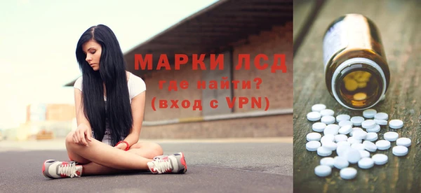 прущий лед Алзамай