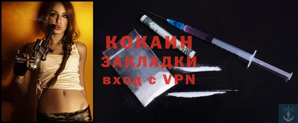прущий лед Алзамай
