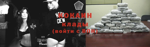 прущий лед Алзамай