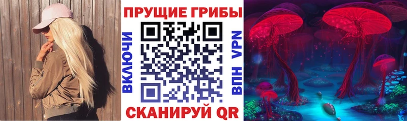 МЕГА   Николаевск  Галлюциногенные грибы Cubensis  продажа наркотиков 